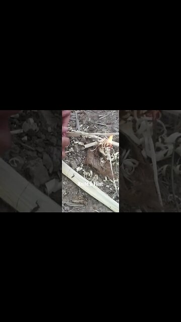 Starting a fire with a knife and flirt. #bushcraft #shorts