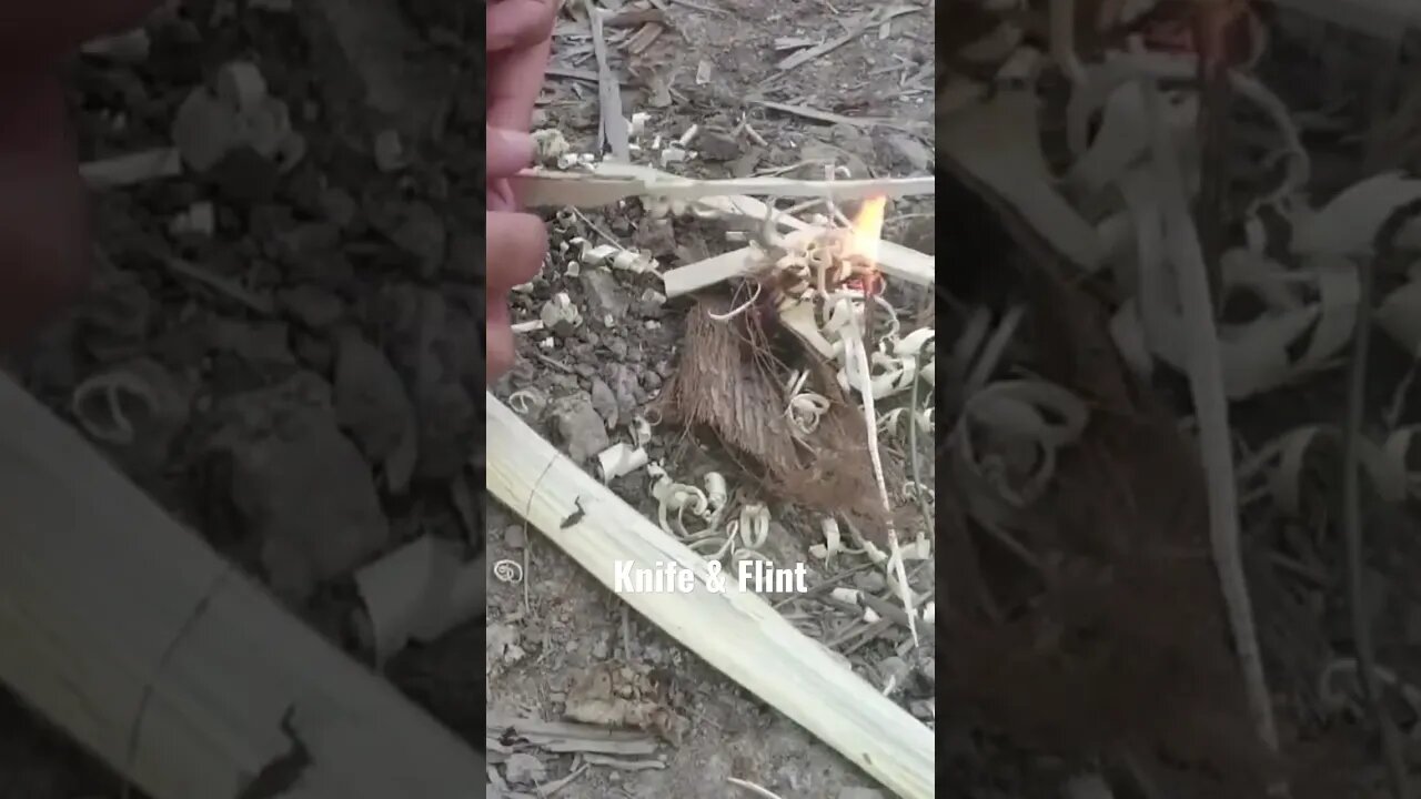 Starting a fire with a knife and flirt. #bushcraft #shorts