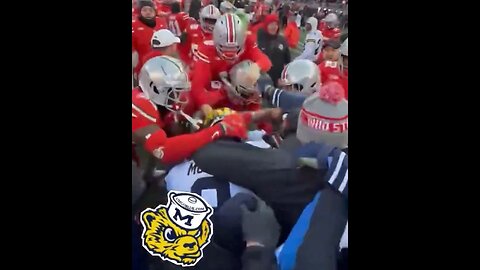 An Insane Brawl Breaks Out On The Field After The Michigan-Ohio Game