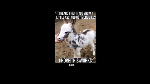 Little Ass Equals More Likes 👍🏻