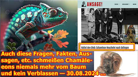 Auch diese Fragen, Fakten, Aussagen, etc. schmeißen Chamäleons niemals mehr vom Baum — 30.08.24 ...