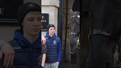 real brave until the horse makes a move 😆 🤣 😂