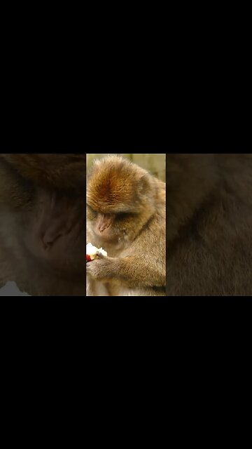 List with AI Tools! #shorts #aitools #ai #aimarketing #websitesyouneedtoknow #aiwebsites