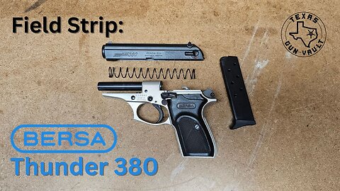 Field Strip: Bersa Thunder 380
