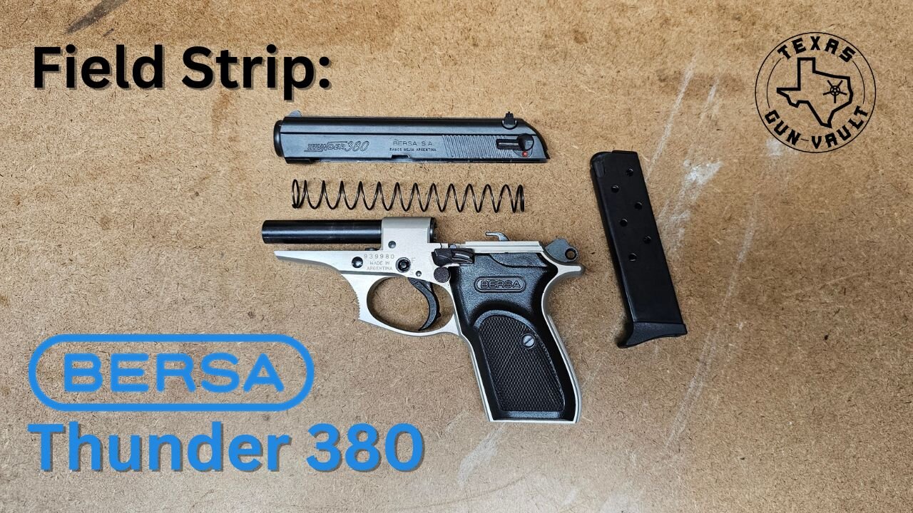 Field Strip: Bersa Thunder 380