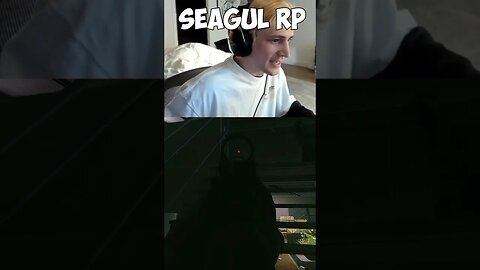 XQC doing some Seagul RP