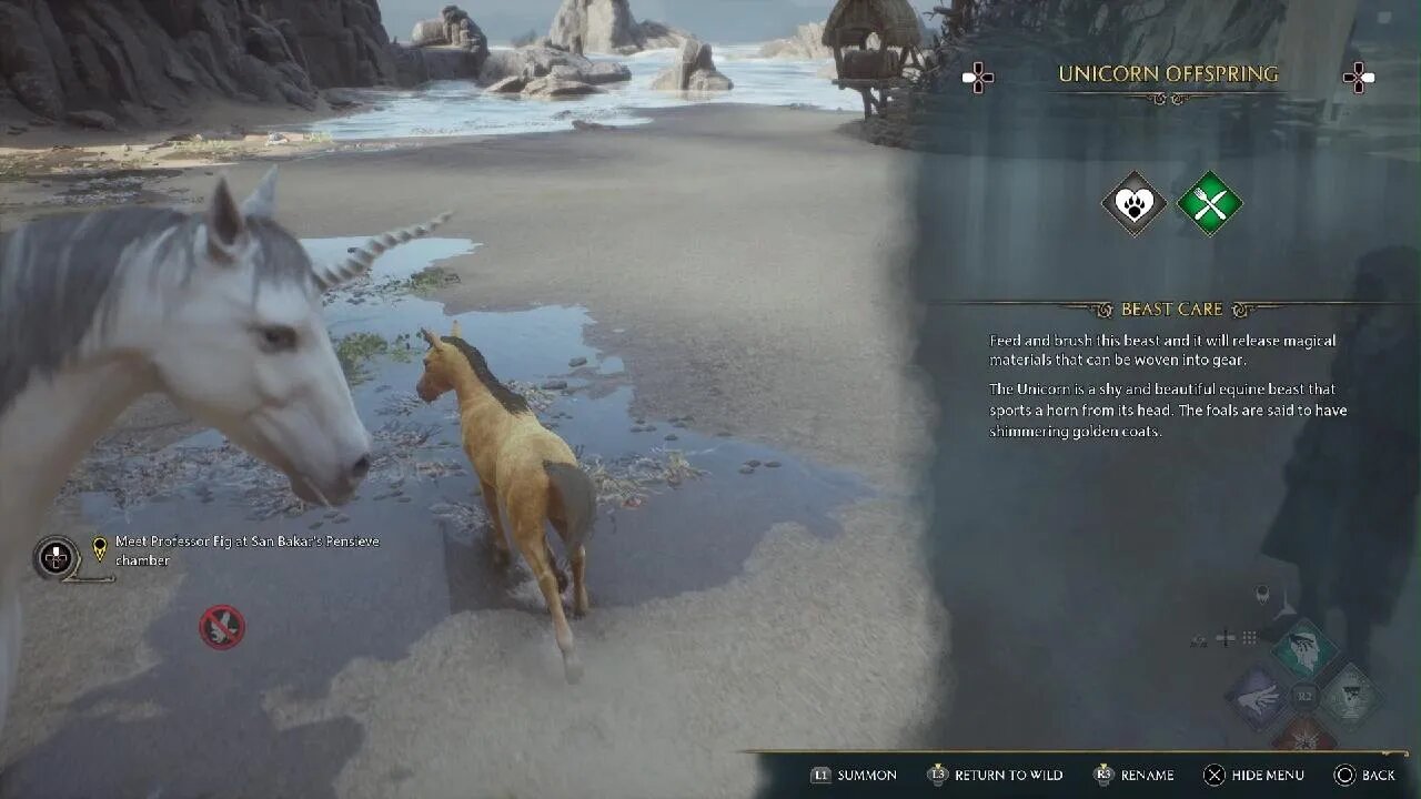 Hogwarts Legacy - Baby Unicorns are sooo cute!