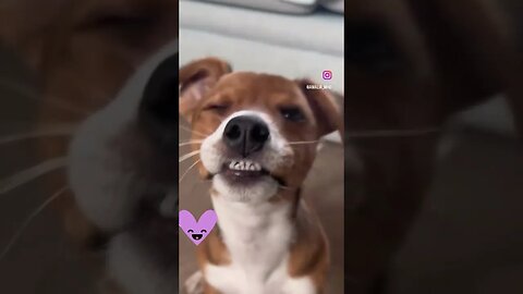 Happy for my new teeth ❤️ #mystories #funny