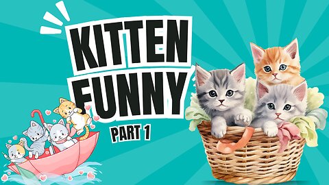 Adorable Kitten and Cat Activities that Will Make You Smile Every Day (Part 1)