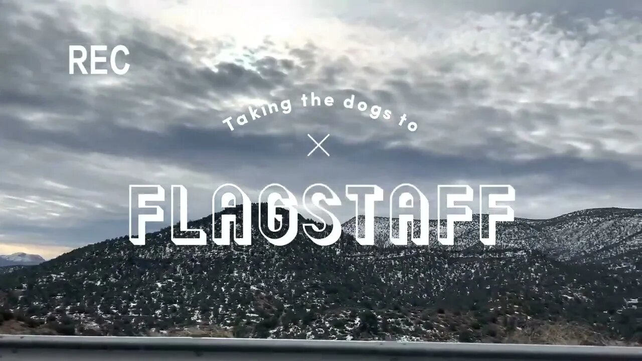 Taking the dogs to Flagstaff ❄️