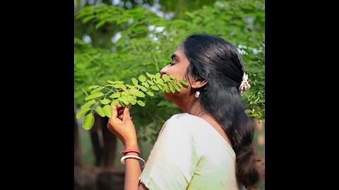 Unlocking the Power of Moringa Oleifera: The Indian Superfood You Need