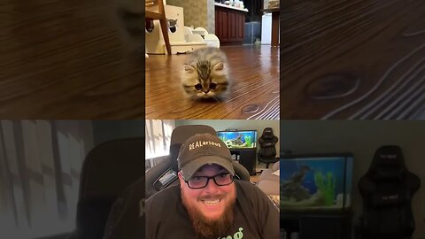 Here’s Your Dose of REALarious…🤣🤣🤣