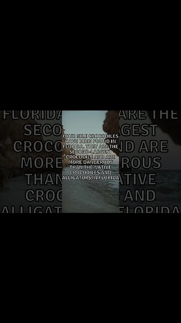 Incredible Random Facts That Will Expand Your Mind! [2023] #shorts #facts #viralshorts #fyp #life