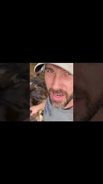 A Day In The Life Of Homesteader Jason Salyer In 60 Seconds