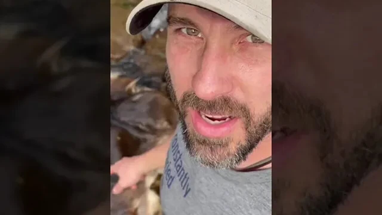 A Day In The Life Of Homesteader Jason Salyer In 60 Seconds