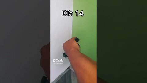 Día 14 de 365 Handgrips por 365 Dias