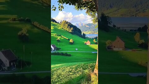 relaxing nature sounds #shorts