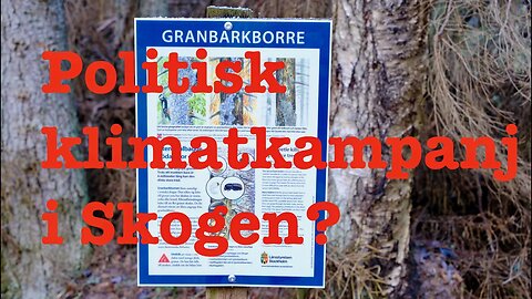 Granbarkborre,Politiskt klimatkampanj i skogen. Jag ringer Länsstyrelsen.