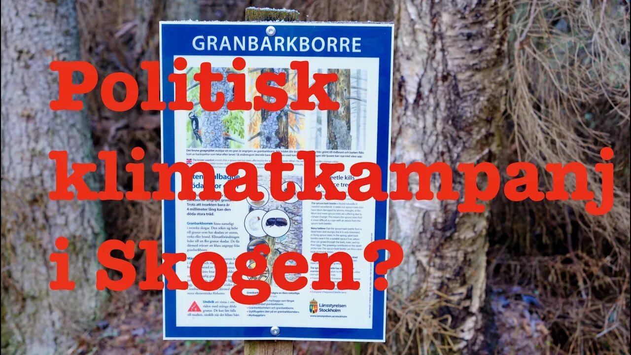 Granbarkborre,Politiskt klimatkampanj i skogen. Jag ringer Länsstyrelsen.