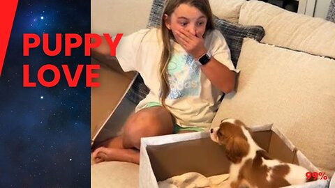 Puppy Surprise 2024: The Cutest Reactions You'll See All Year