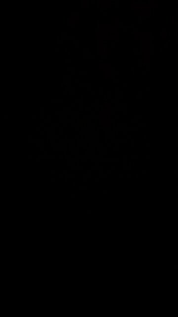 Obesity linked to illness