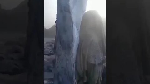 SINAIS