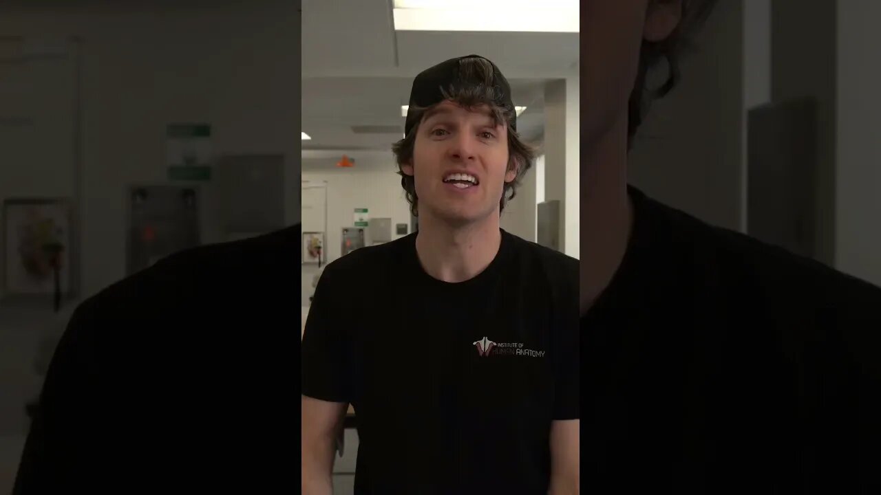 The Amazing Nerve For Your Face