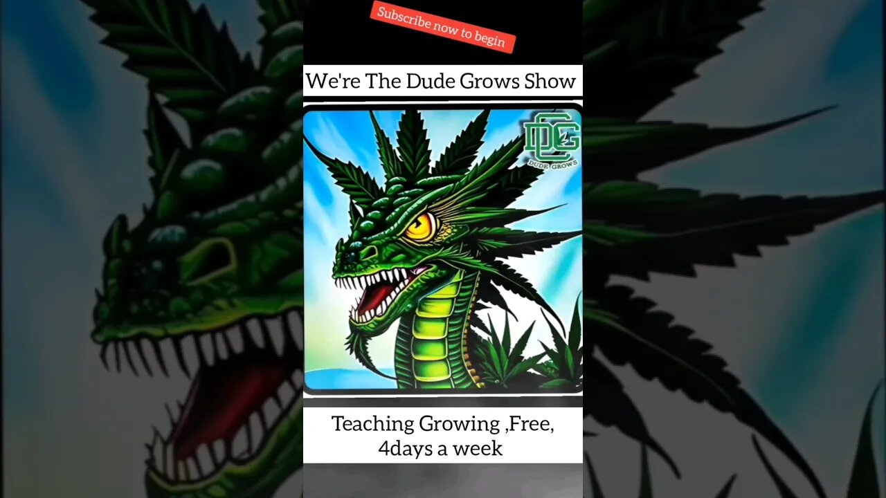 Want to learn to Grow Cannabis For Free? Subscribe to begin
