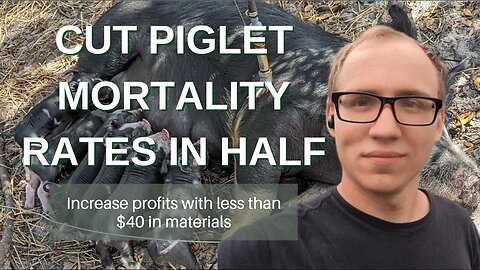 Increase pig farming profits with almost no cost