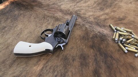 Ruger Police Service Six Chapter 2