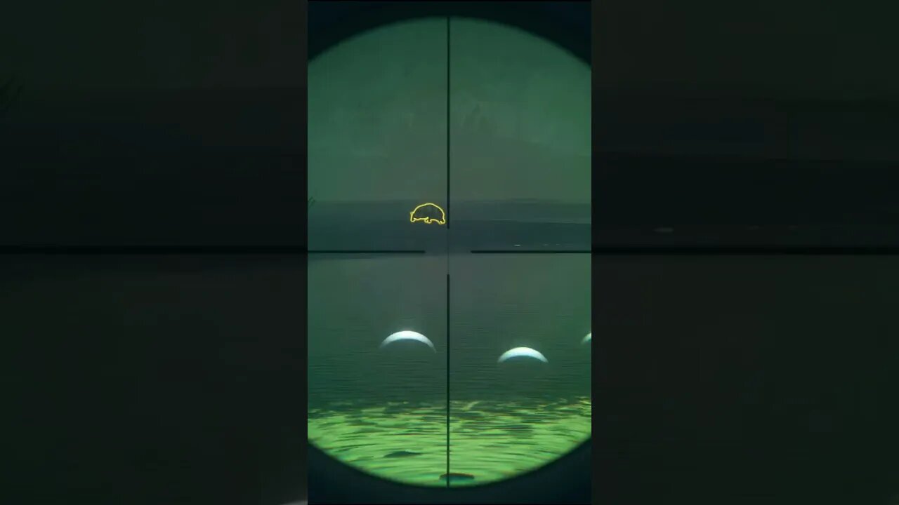 Near Max 💎 Diamond Pig 🐷 Sneaks In Behind Me - theHunter: Call of the Wild #shorts