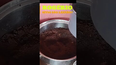 COMO TER MELHOR FERTILIZANTE CASEIRO DE 2023 #SHORTS
