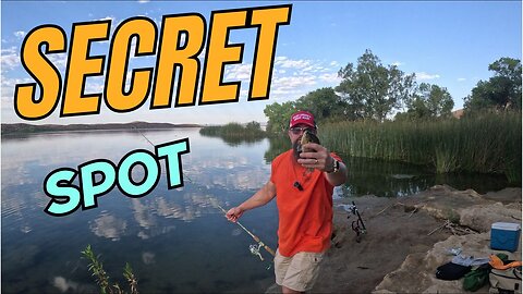 Catfish Stocking | Lake Skinner | Fishing Report | Oct 2024