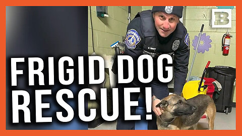 "He’s Just Freezing”: Police Release Bodycam Footage of Officers Rescuing Dog in Freezing Weather
