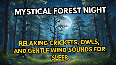 Mystical Forest Night | Relaxing Crickets, Owls, and Gentle Wind Sounds for Sleep
