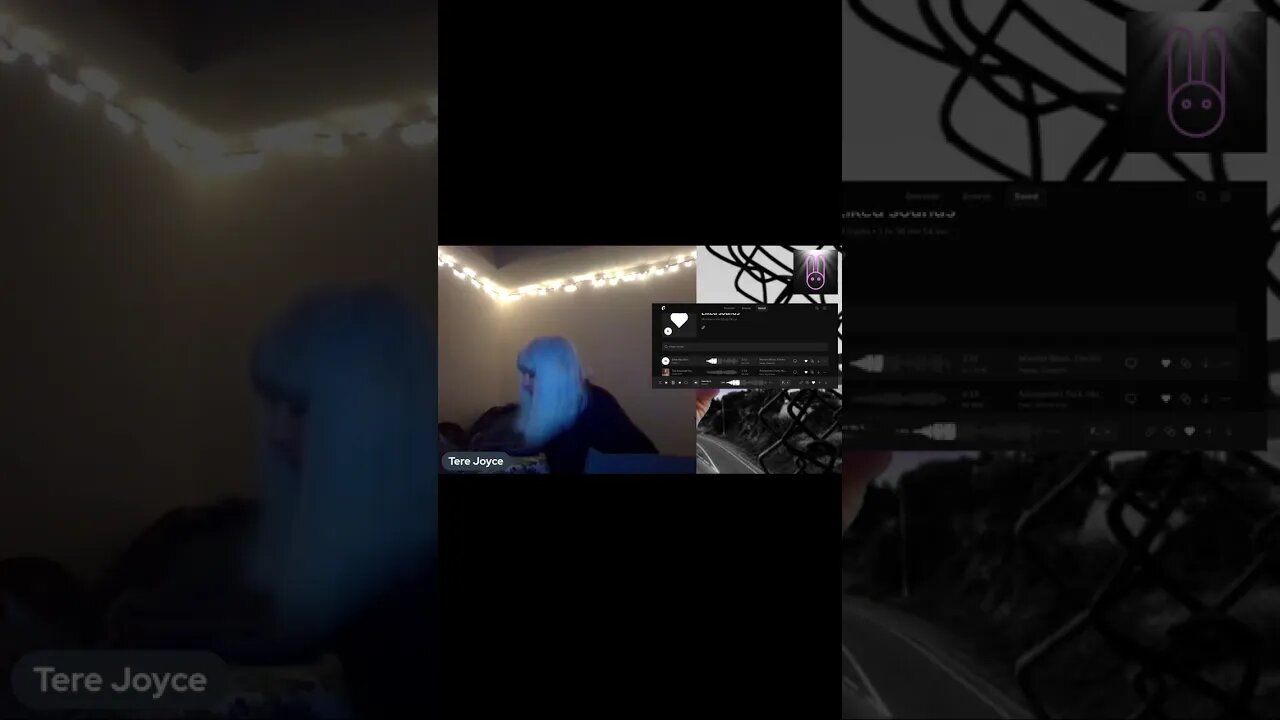 Dancing with my cat before live-streaming Sean Stone and his Q*A*N*O*N Propaganda