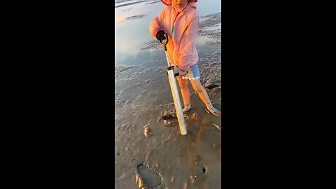 Going beach combing