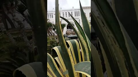 Griffin Fountain Sukhumi Abkhazia