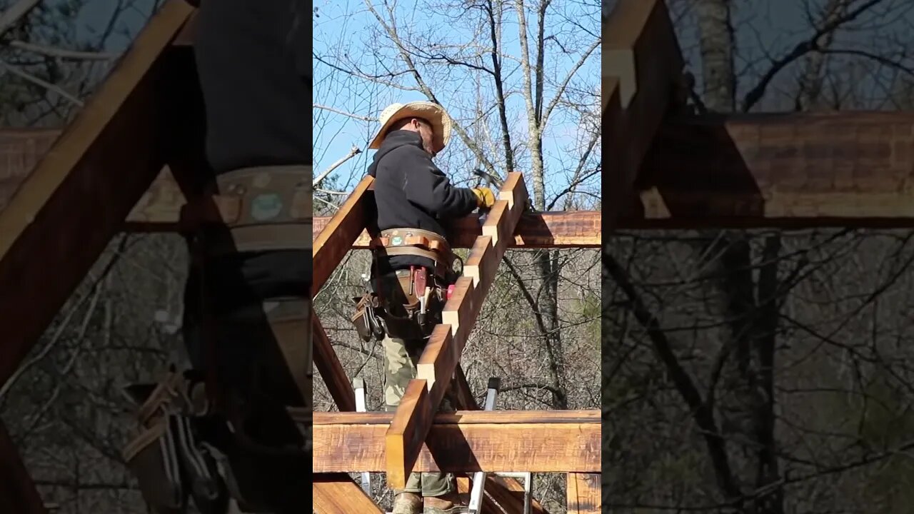 Installing Rafters On Timber Frame Workshop . . . #woodworking #diy #building #handmade #offgrid