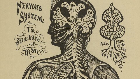 Nervous System Protect and Restore (2005) | Raymond Peat