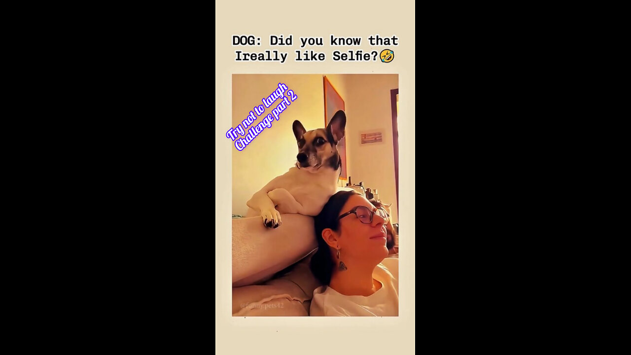 "Unbelievably Funny Moments That'll Make You Burst! 😂 Try Not to Laugh Challenge!" PART 2 😎