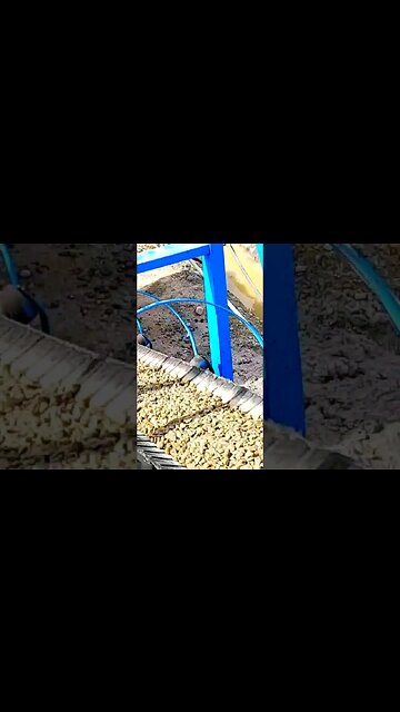 Conveyor belt transporting stone form addictive tank in ready mix plant #shorts
