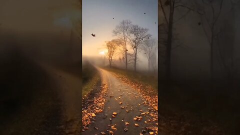 Unbelievable Study Music That'll Leave You Mesmerized #shorts #mindfulness#meditation
