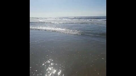 NA PRAIA DE MONGAGUA ONDA NA PRAIA MAR CEU AZUL SP BRASIL 21JAN2023 G CREATIVE COMMONS #shorts