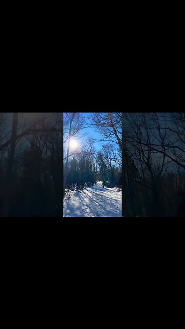 Canadian Walking Trails in the Winter ❄️ #snowfall #trails