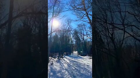 Canadian Walking Trails in the Winter ❄️ #snowfall #trails