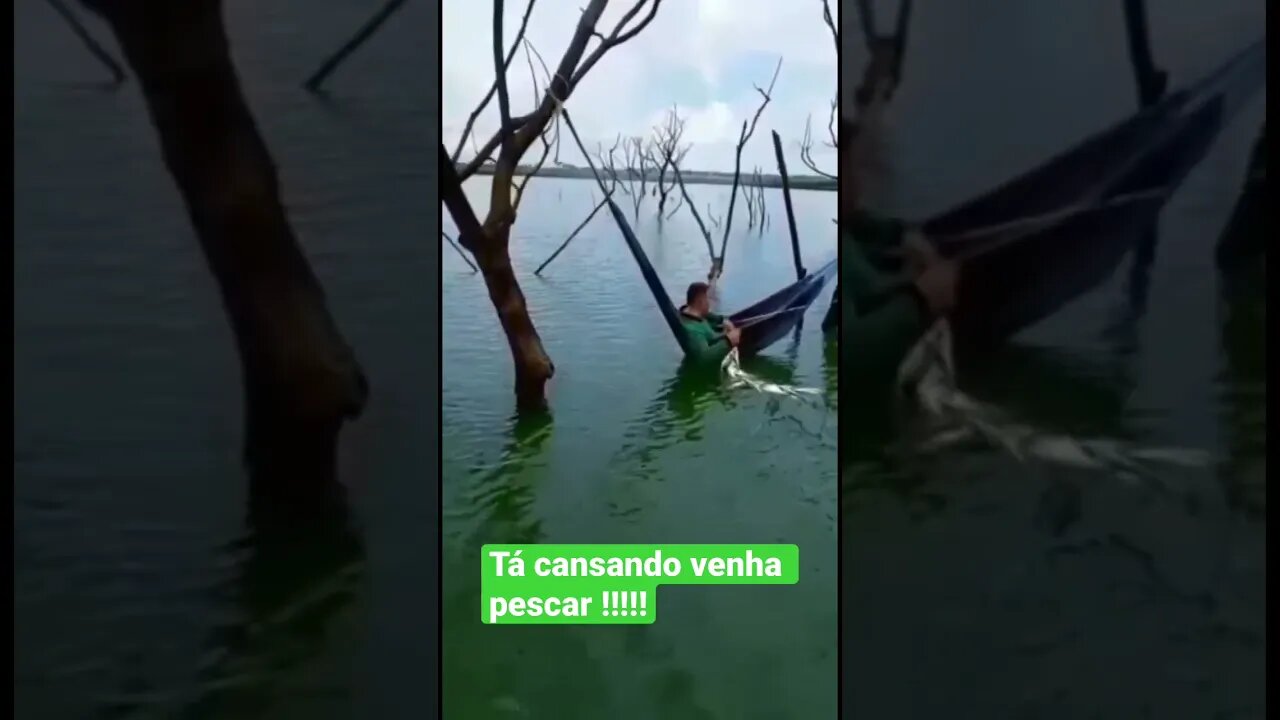 Três Marias MG alugamos rancho totalmente estruturado para pescaria e lazer #pescaesportiva #pesca
