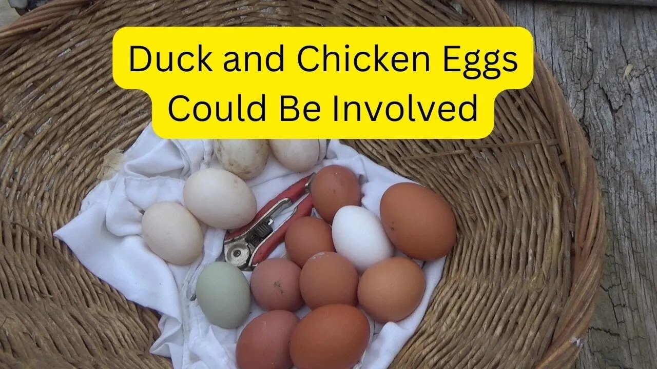 Plans and Goals for 2023