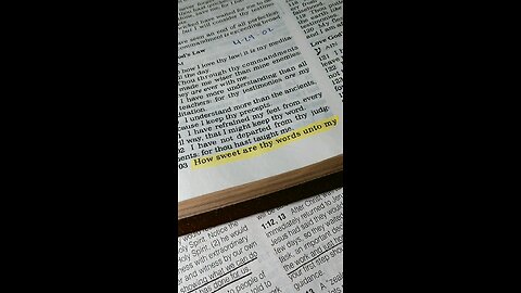 Psalm 119