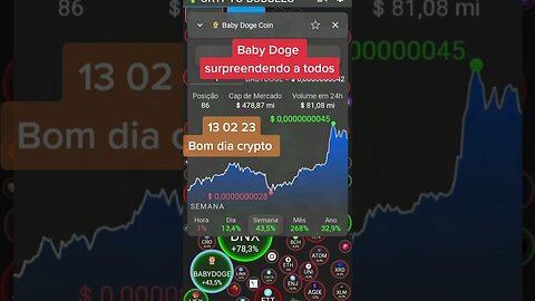 Bom dia Crypto 13 02 23 #babydoge